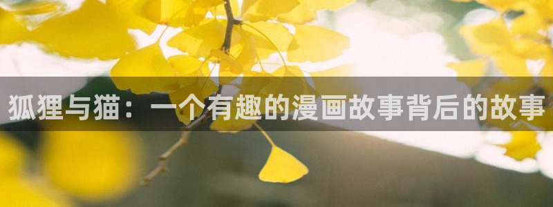 韩漫漫画免费入口：狐狸与猫：一个有趣的漫画故事背后的故事